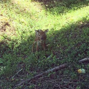 Meet your Posher, Jennifer